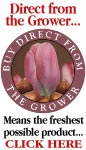 Flowers Direct From the Grower