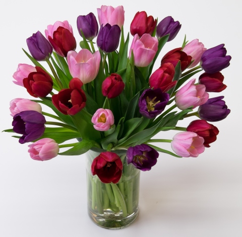 Bold_And_Beautiful_Tulips.jpg