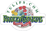 Tulips.com
